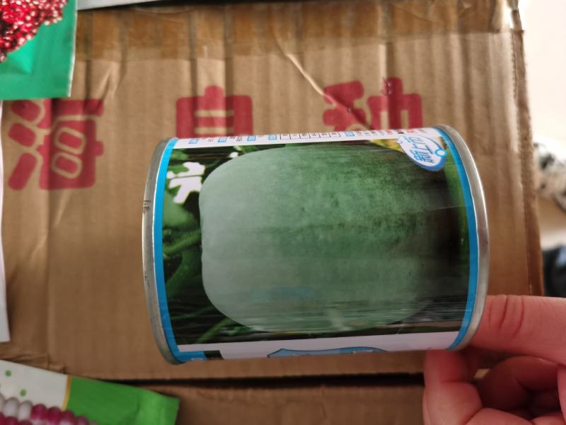 冬瓜种子早熟冬瓜种籽高产抗病强春天种植蔬菜种子