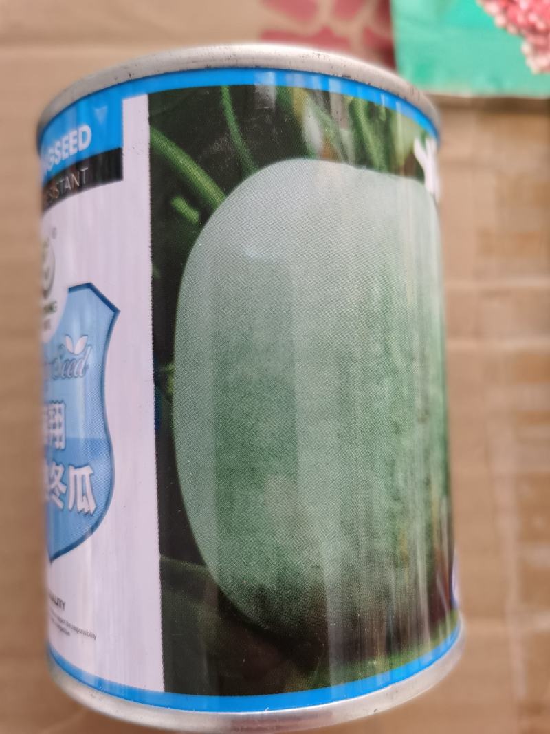 冬瓜种子早熟冬瓜种籽高产抗病强春天种植蔬菜种子