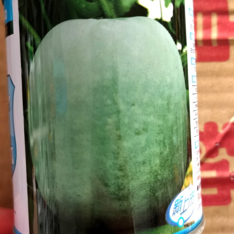 冬瓜种子早熟冬瓜种籽高产抗病强春天种植蔬菜种子