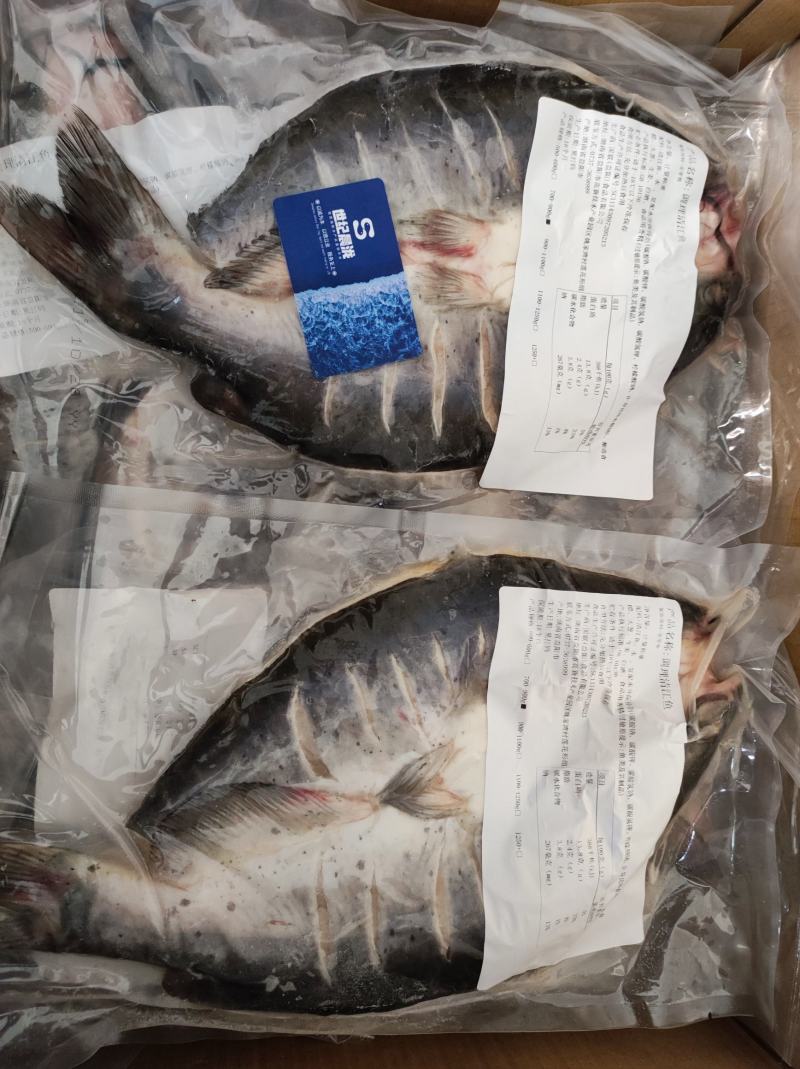 国联调理开背鮰鱼/斑点叉尾鮰每袋（条）净900g左右