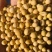 安徽黄豆，优质黄豆。豆腐转用。诚信交易，