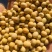 安徽黄豆，优质黄豆。豆腐转用。诚信交易，