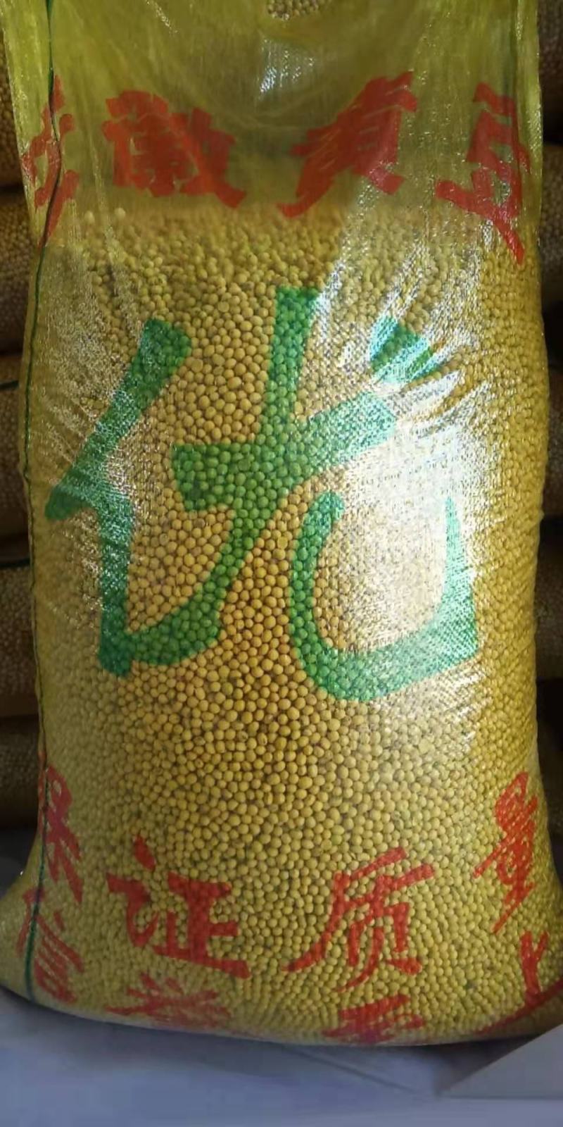 安徽黄豆，大颗粒，比重筛，靓货，常年有货，供应全国