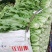 生菜；油麦；香菜；蒜苗等大量上市
