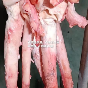 新鮮牛心管、牛黄喉，屠宰场一手货源，干水无油不碱发水发