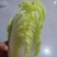 娃娃菜，创造值合作共贏。大娃娃菜小娃娃菜一个月上市，包装