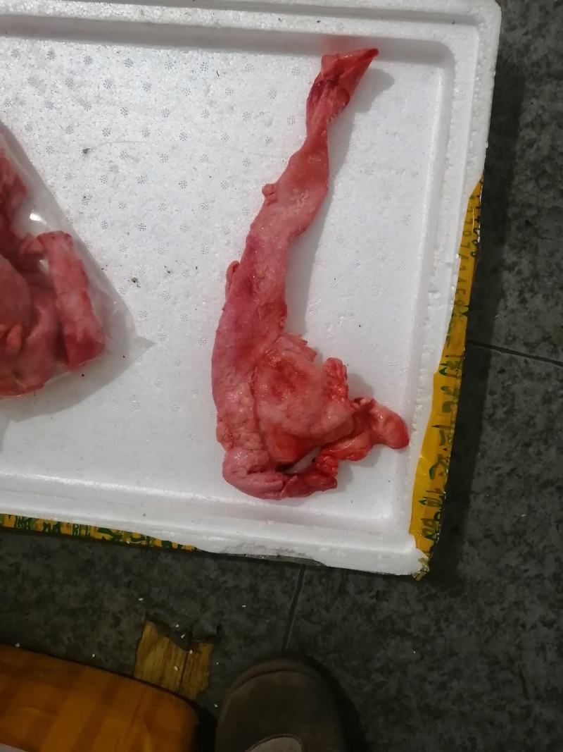 新鮮牛心管牛黄喉，屠宰场一手货源，不碱发水发，干水无油