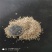 剪股颖草籽草坪种子狗牙根耐践踏耐旱耐热庭院别墅包衣净籽马
