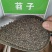 毛苕种子长柔毛野豌豆种子箭舌豌豆种子光叶毛叶兰花苕子毛苕
