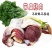 驴肉驴下水大量出售，基地新鲜现杀，量大从优欢迎挑选选购