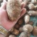 毛芋头4厘米以上大量供应货源充足山东毛芋头