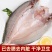 三去海鲈鱼七星鲈鱼花鲈鱼深海鱼海鲜水产开背去腮去内脏