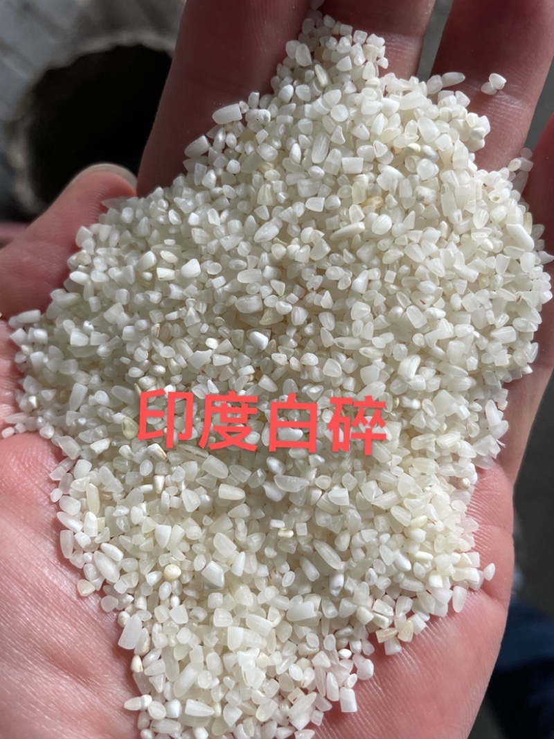 印度白碎米(硬度够硬、如果干净、无杂、没有味道做粉性价比高