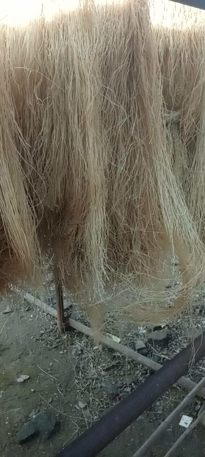 精品纯红薯粉条，圆粉，质优价廉，欢迎选购