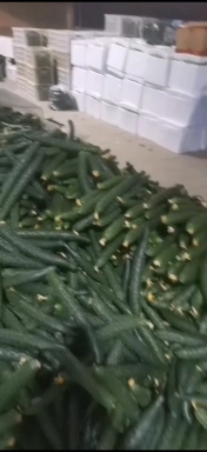 青瓜