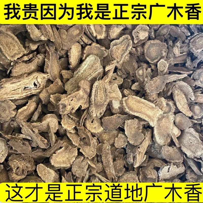 木香木香片无硫新货木香中药材批发广木香