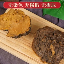 桑黄西藏野生正品桑树桑黄中药材大全煮水泡水