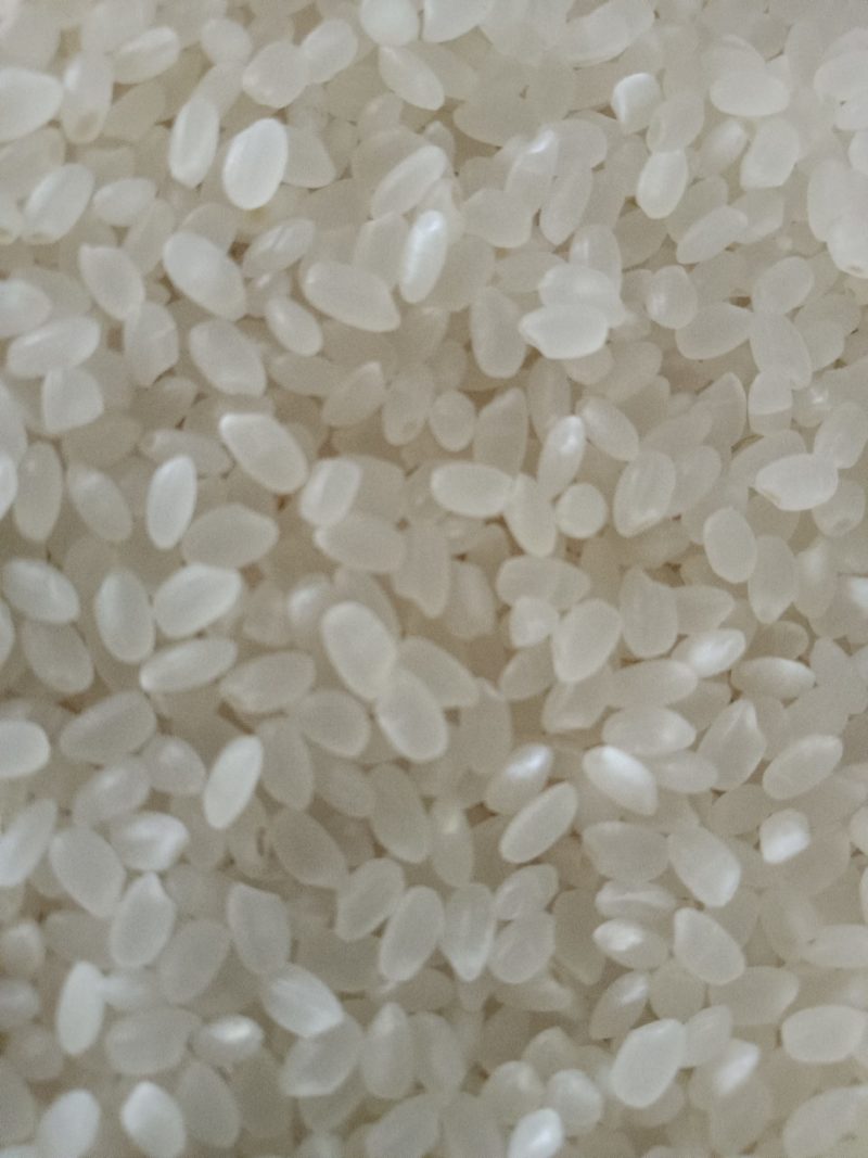 东北大米现磨大米圆粒型煮饭做粥2.5Kg5斤包邮