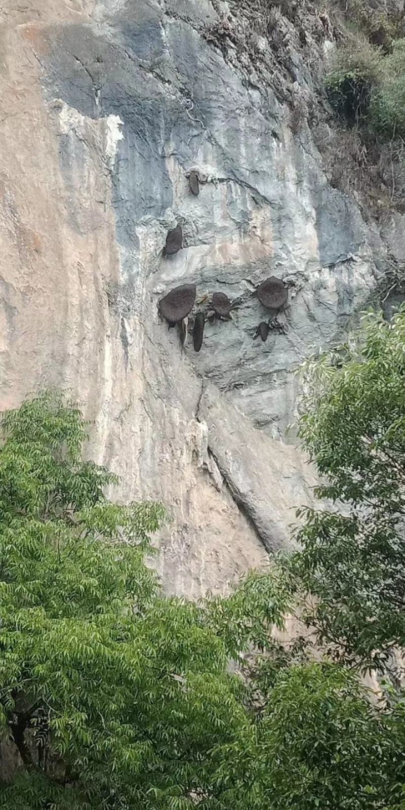 正宗野生蜂蜜