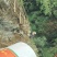 正宗野生蜂蜜
