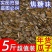 整箱2.5kg包邮红枣味焦糖味原味瓜子葵花籽炒货坚果休闲