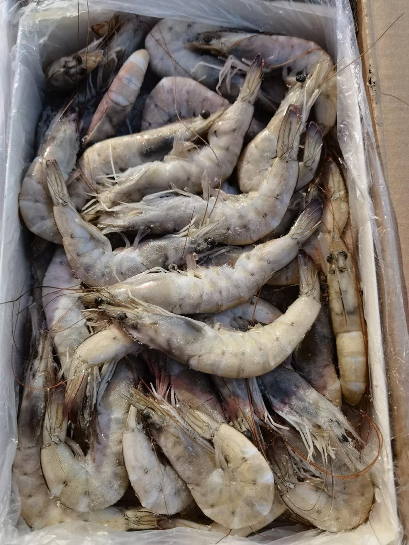 活冻大虾南美白虾对虾青虾沙特虾散冻品质保证