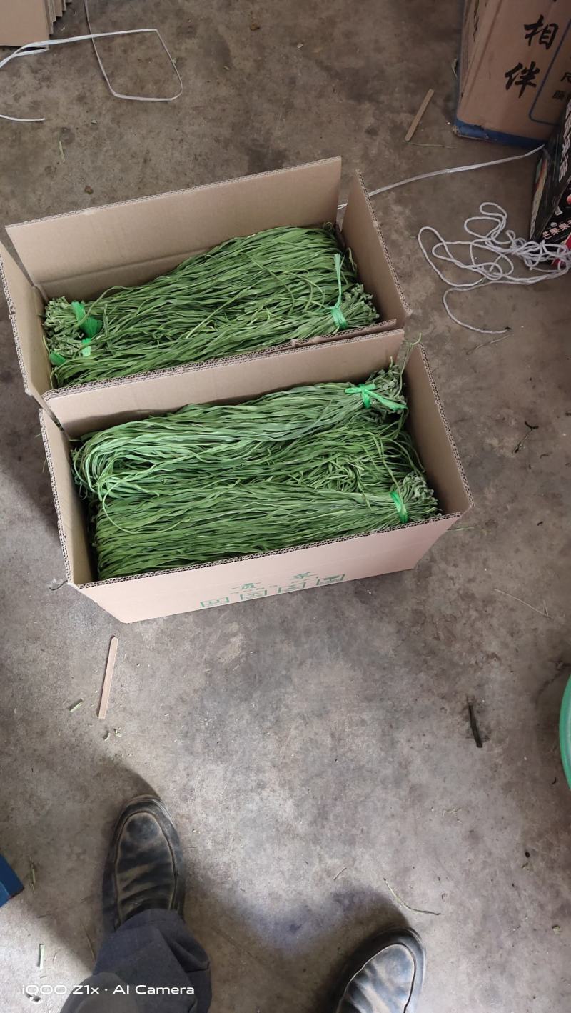 宾川贡菜产地直发自产自销全国发货质量保证颜色鲜代发