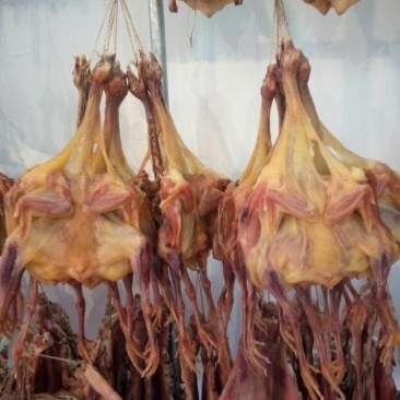 连州东陂腊味腊鸡