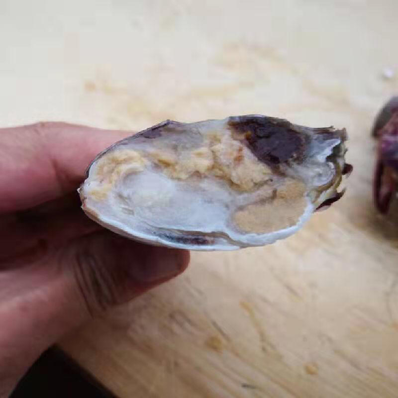 深海鲜活速冻梭子蟹，肉质肥满鲜嫩，清蒸红烧非常好吃
