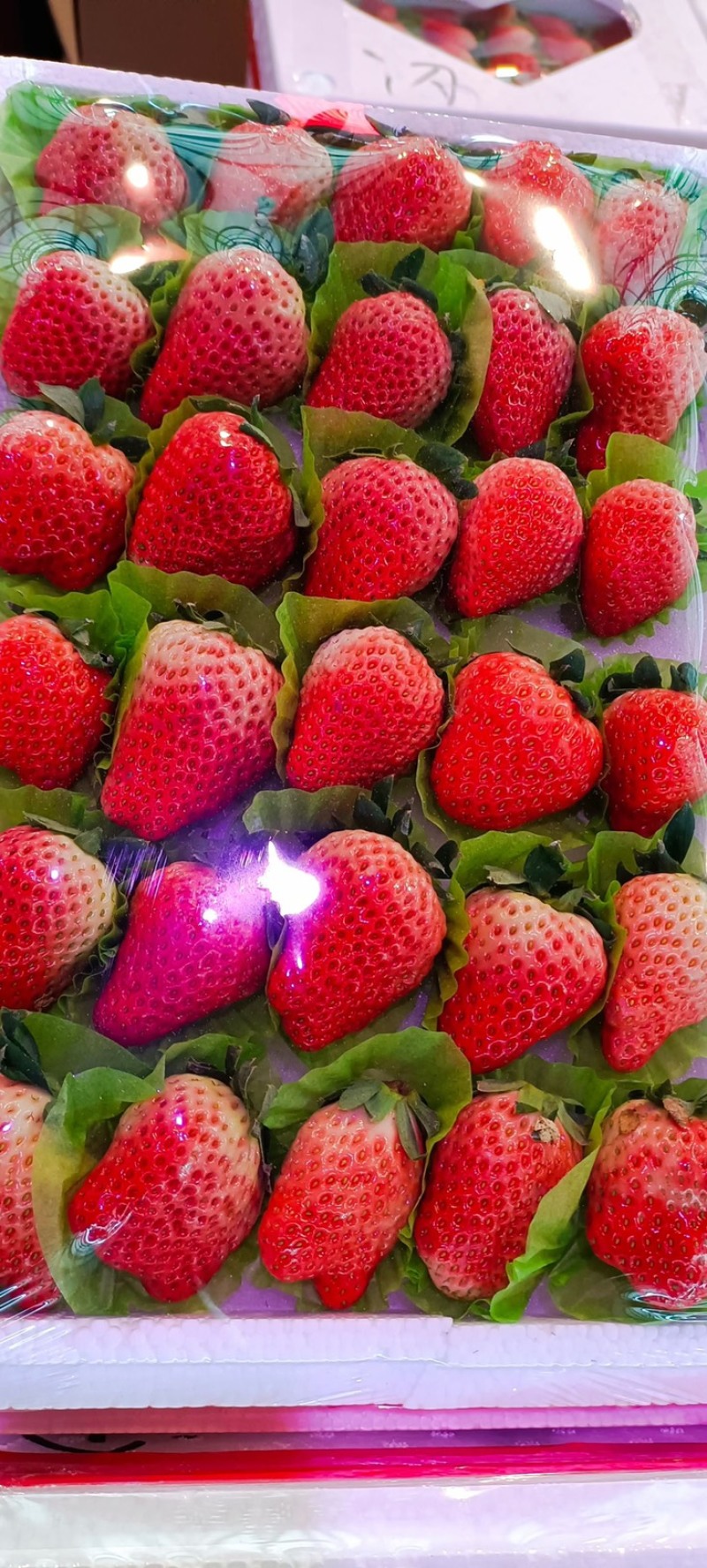 甜查理草莓，山东甜查理草莓质量好产地一手货源保质保量