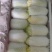 品质娃娃菜大娃娃菜山东聊城品质保证欢迎选购