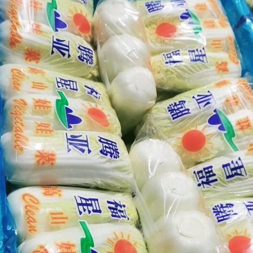 精品娃娃菜聊城娃娃菜产地直销品质保证量大从优