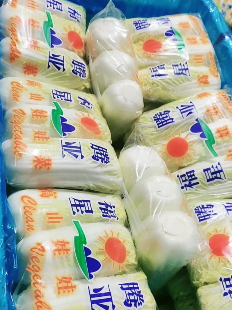精品娃娃菜聊城娃娃菜产地直销品质保证量大从优