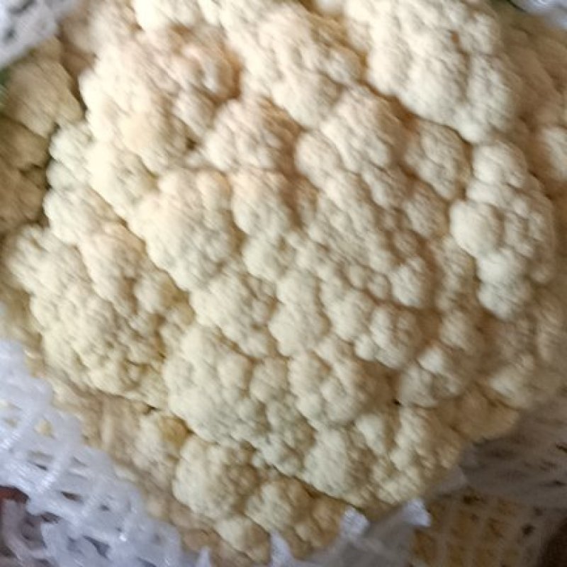精品有机花万亩基地，质量好价格优。。。。