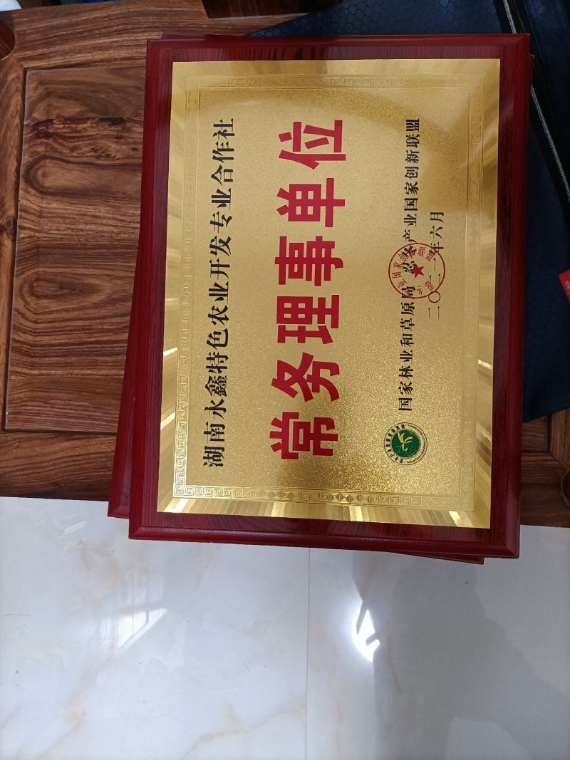 山银花苗产地直发货源充足欢迎客户来电咨询订购