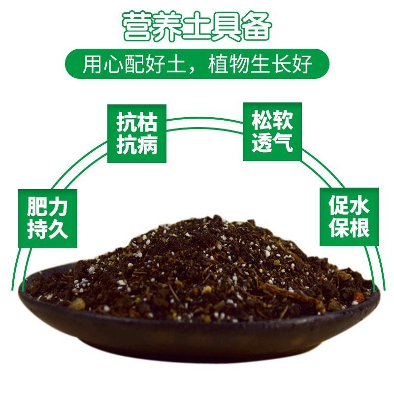 花土营养土花土壤家用养花专用通用型种花盆栽有机花泥种植多
