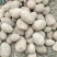 【精品土豆】甘肃土豆大量上市货量充足口感好量大从优