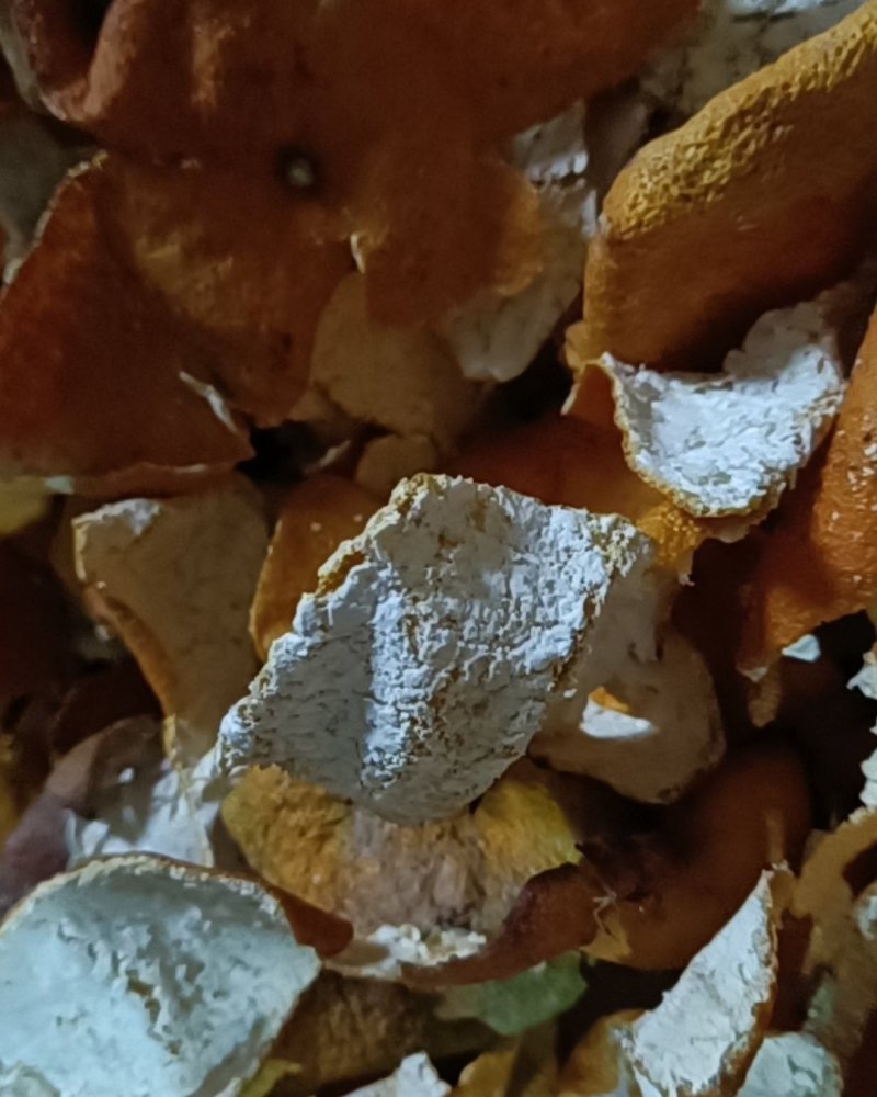 陈皮/湖南常德优质陈皮货量充足/对接全国采购商