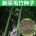 新采竹子种子毛竹种子雷竹紫竹种子青竹种子大型竹