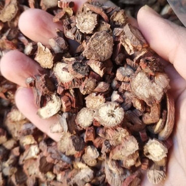 丹参片，丹参阻，丹参批发，中药材丹参，中药材丹参片