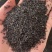 黑心菊种子宿根多年生耐寒耐旱金光菊地被菊种子春秋种植花海