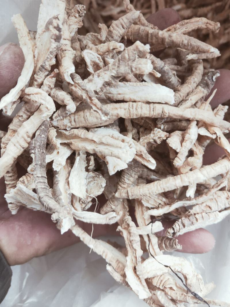 山海螺又名羊乳根四叶参货好量大不满意可以退换货