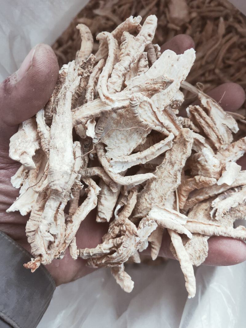山海螺又名羊乳根四叶参货好量大不满意可以退换货