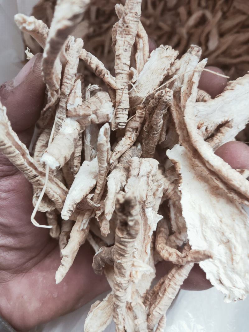 山海螺又名羊乳根四叶参货好量大不满意可以退换货