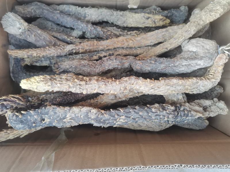 肉苁蓉阿拉善野生肉苁蓉500克软大云泡茶泡酒料