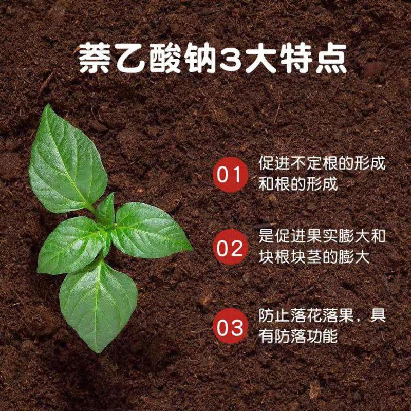 萘乙酸钠原粉生根粉园艺花木扦插生根剂移栽保花保果促生长