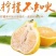 柠檬不知火柑橘苗，晚熟品种，四月中旬上市。脆甜，宜运输。
