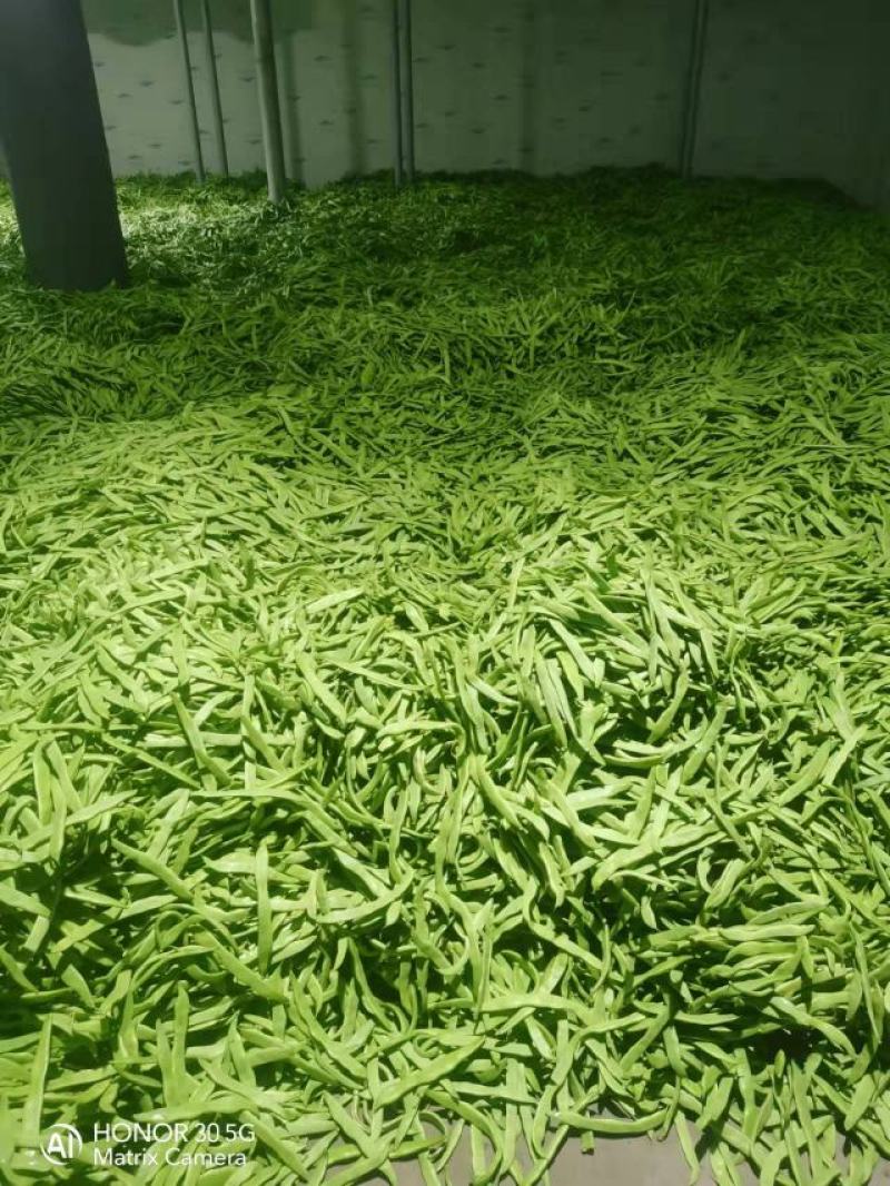 扁豆四季豆白不老无筋豆统货赶大集摆地摊，社区平台专用