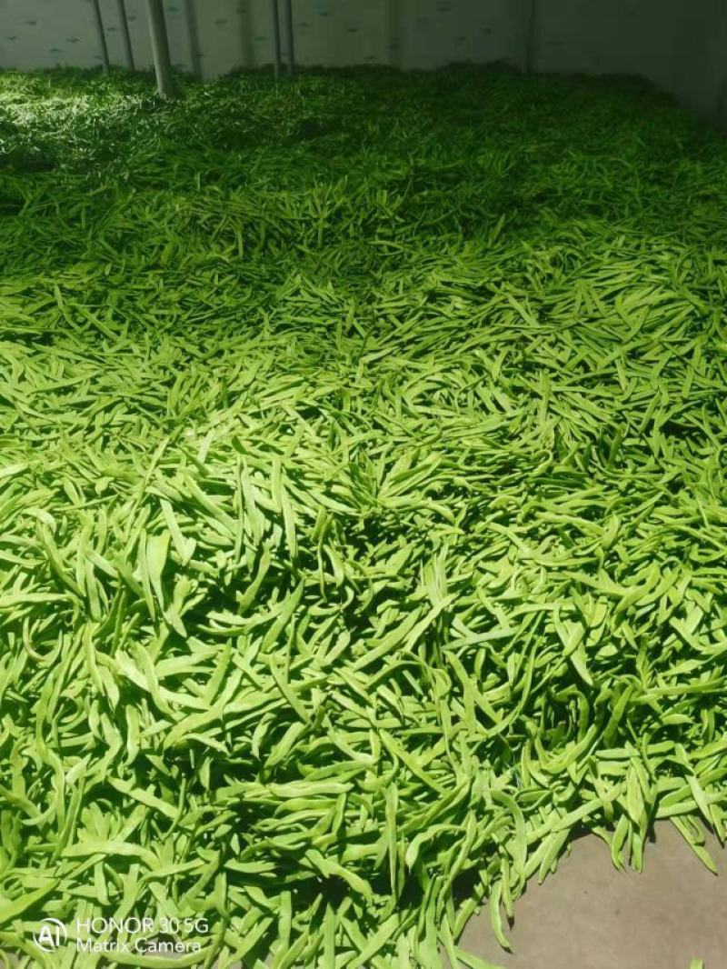 扁豆四季豆白不老无筋豆统货赶大集摆地摊，社区平台专用