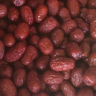 精品灰枣品质保证欢迎选购河北沧州红枣大量上市